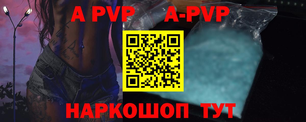 где найти   Alfa_PVP СК  Вход с VPN  Новодвинск 