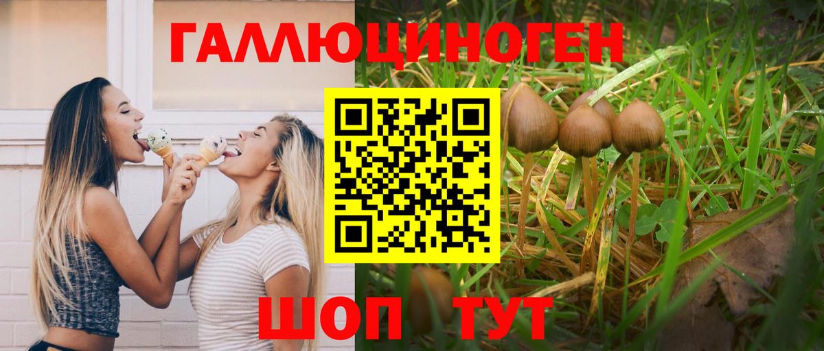 Новодвинск  Псилоцибиновые грибы прущие грибы  Вход с VPN 