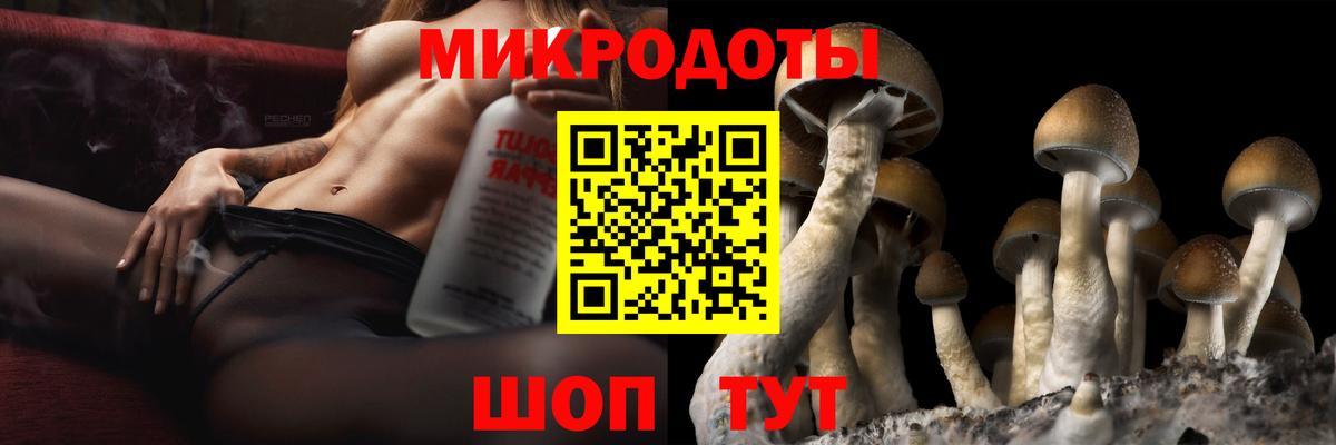 Псилоцибиновые грибы Cubensis Новодвинск